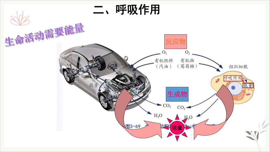 浙教版科学八级下册生物的呼吸和呼吸作用4课件.pptx_第3页