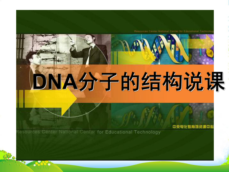 高中生物-DNA分子的结构说课课件-新人教必修2.ppt_第1页