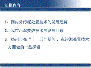 烟气余热干化循环硫化床焚烧发电高效处置污水污泥工程实践及污泥处置新技术研究成果汇报课件.pptx