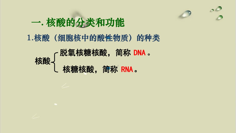 核酸是遗传信息的携带者-优质课件人教版高中生物必修1分子与细胞-.pptx_第3页