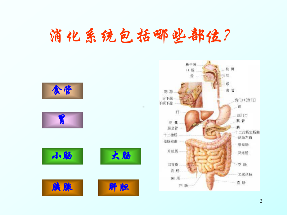 消化内科常见病及特色技术医学课件.ppt_第2页