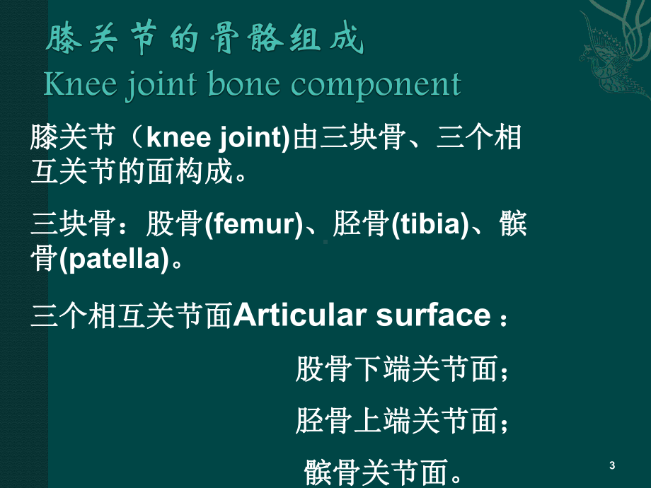 膝关节解剖基础课件.ppt_第3页