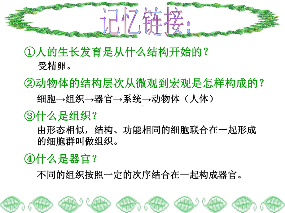 植物体的结构和层次课件.ppt_第1页