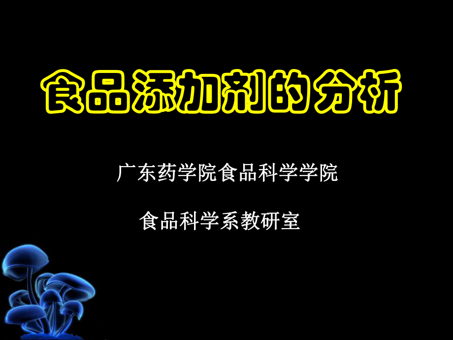 添加剂的分析课件.ppt_第1页