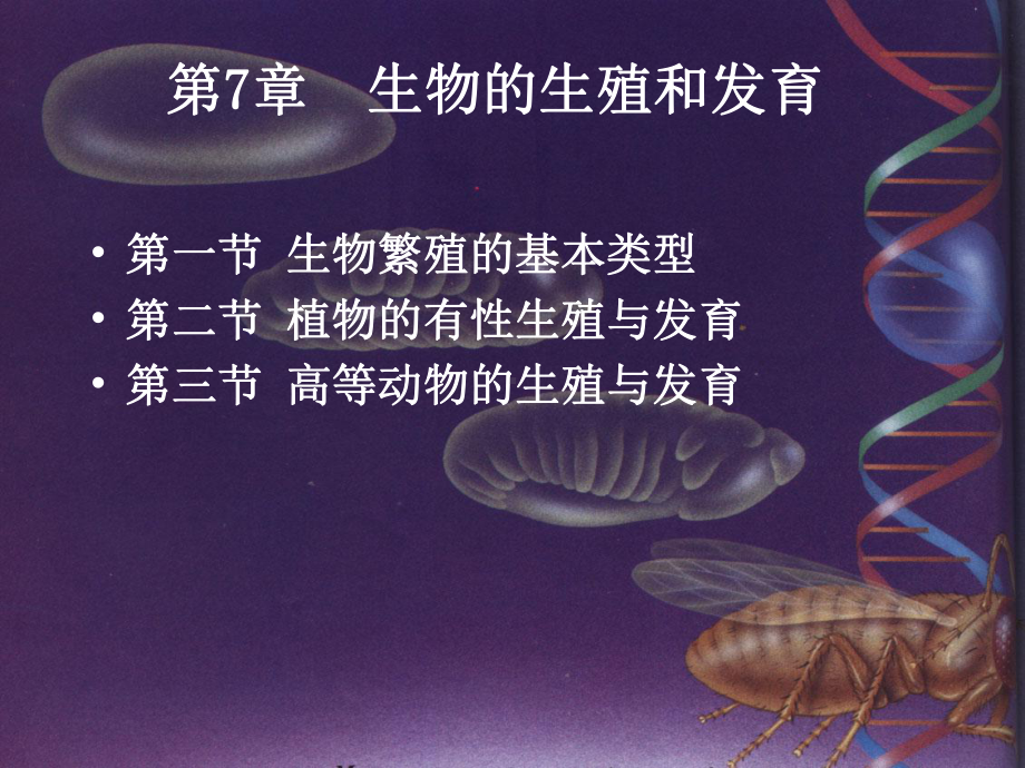 生物和生殖和发育课件.ppt_第1页