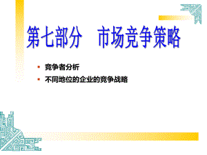 第七部分市场竞争策略课件.ppt