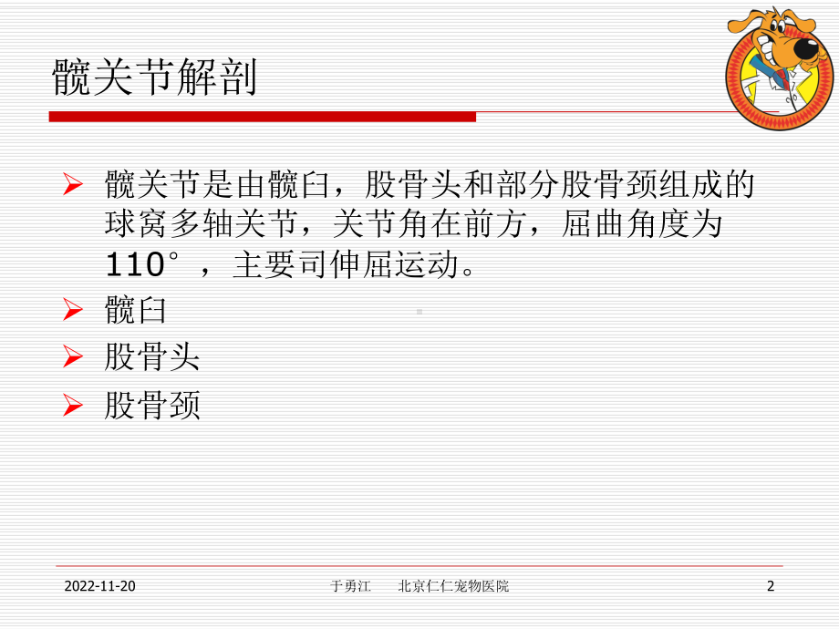 犬髋关节发育不良课件.ppt_第2页