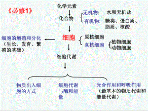 高中生物课件-浙科版高中生物必修1第三章《细胞的代谢.ppt