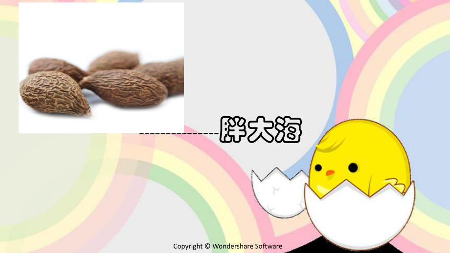 胖大海课件.ppt_第3页