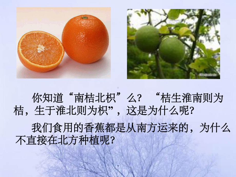 生物生存的环境课件.ppt_第3页