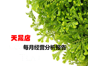 药店每月经营分析报告模板课件.ppt