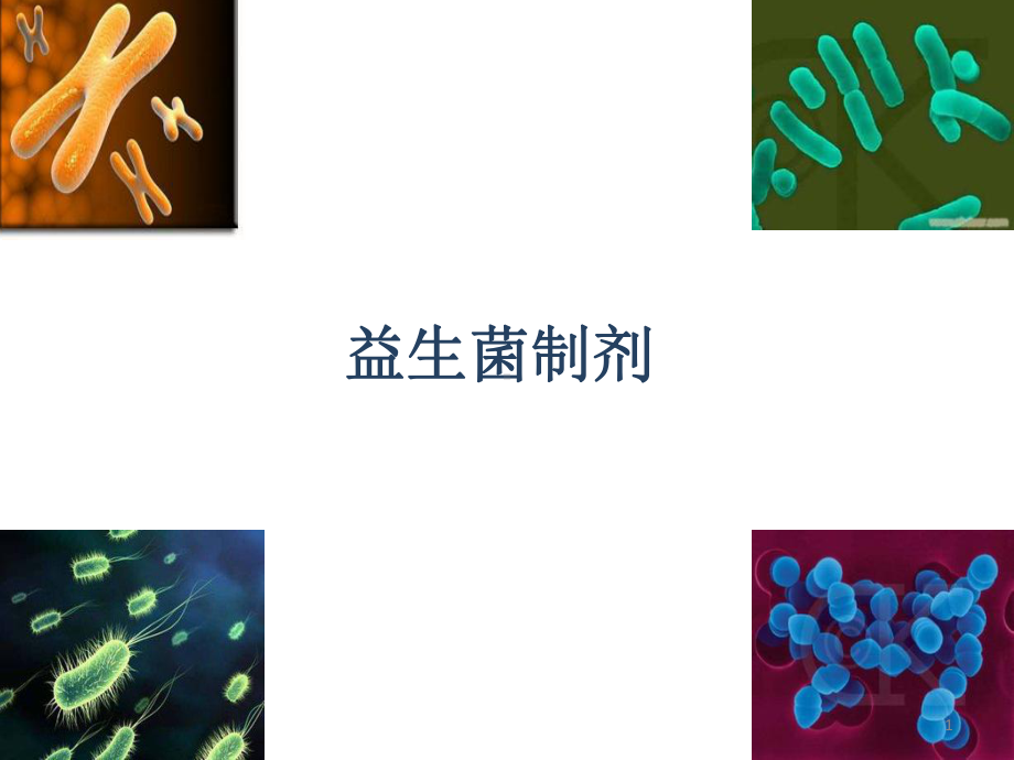 益生菌制剂医学课件.pptx_第1页