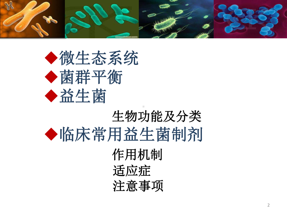 益生菌制剂医学课件.pptx_第2页