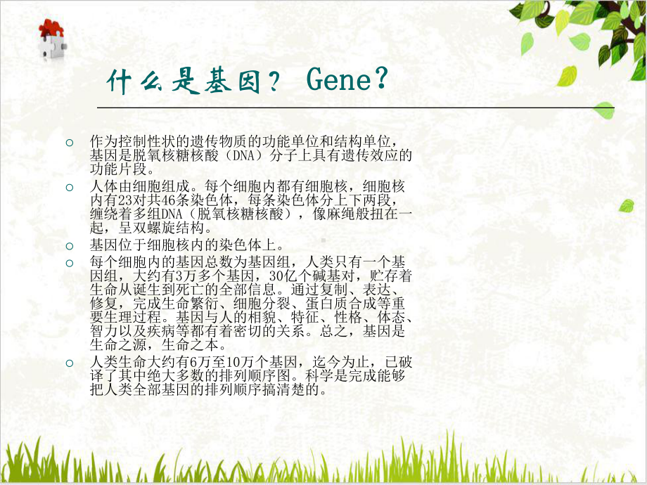 生物技术与生物经济优质版(28张)课件.ppt_第3页