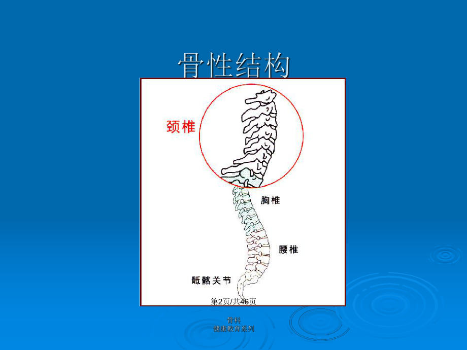 颈椎病健康教育教案课件.pptx_第3页