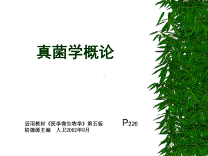 真菌学概论课件.ppt