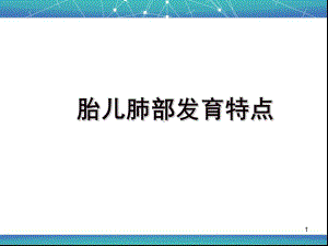 胎儿肺部发育特点课件.ppt