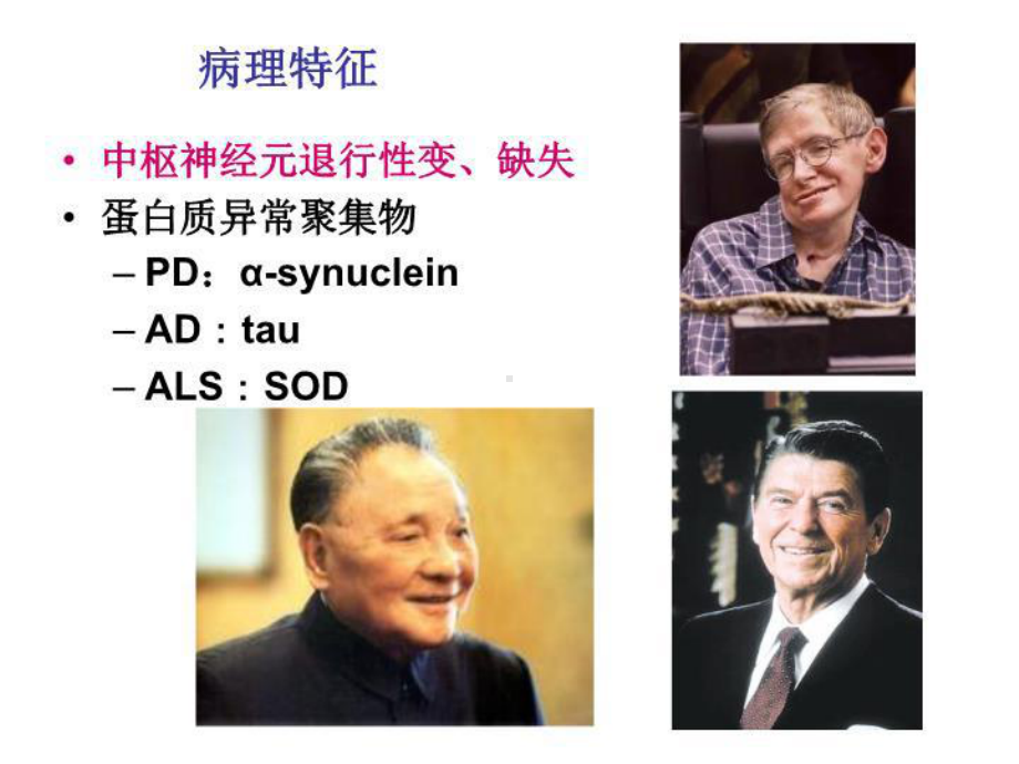 神经退行性疾病课件.ppt_第3页