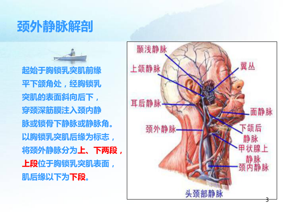 颈外静脉穿刺课件.ppt_第3页