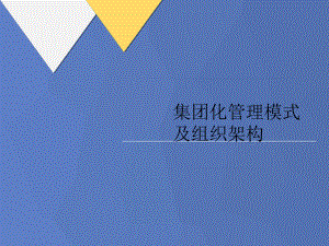 集团化管理模式及组织架构课件.ppt