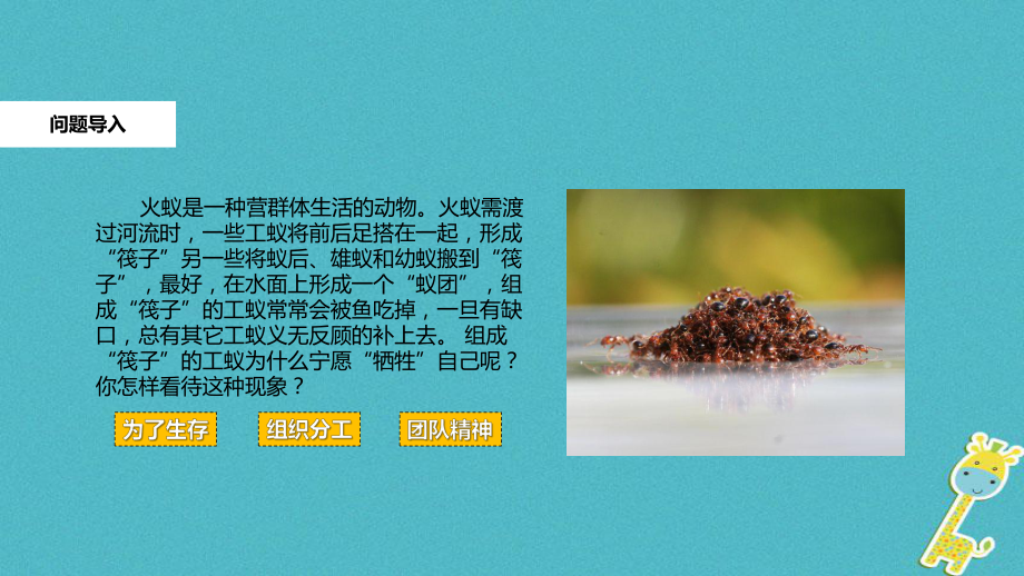 社会行为(18)初中生物课件.ppt_第2页