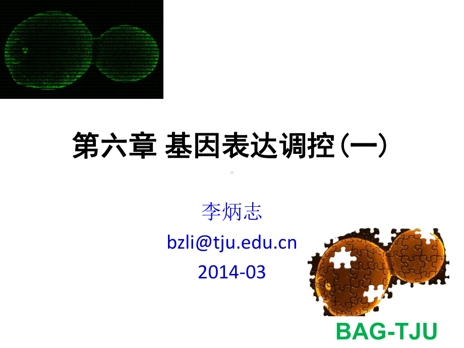 第六章基因表达调控(一)课件.pptx_第3页