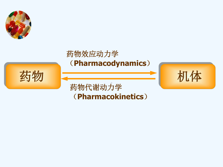 药理学基础课件.ppt_第2页