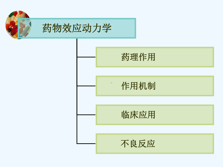 药理学基础课件.ppt_第3页