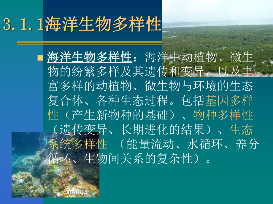 第三章海洋环境生态破坏现状课件.ppt_第2页