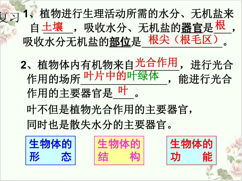 浙教版科学八级下册植物的叶与蒸腾作用-5课件.ppt_第2页