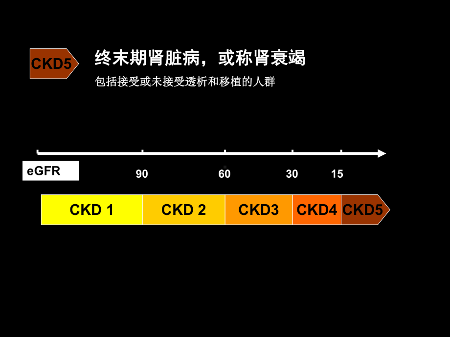 终末期肾脏病的一体化治疗课件.ppt_第2页