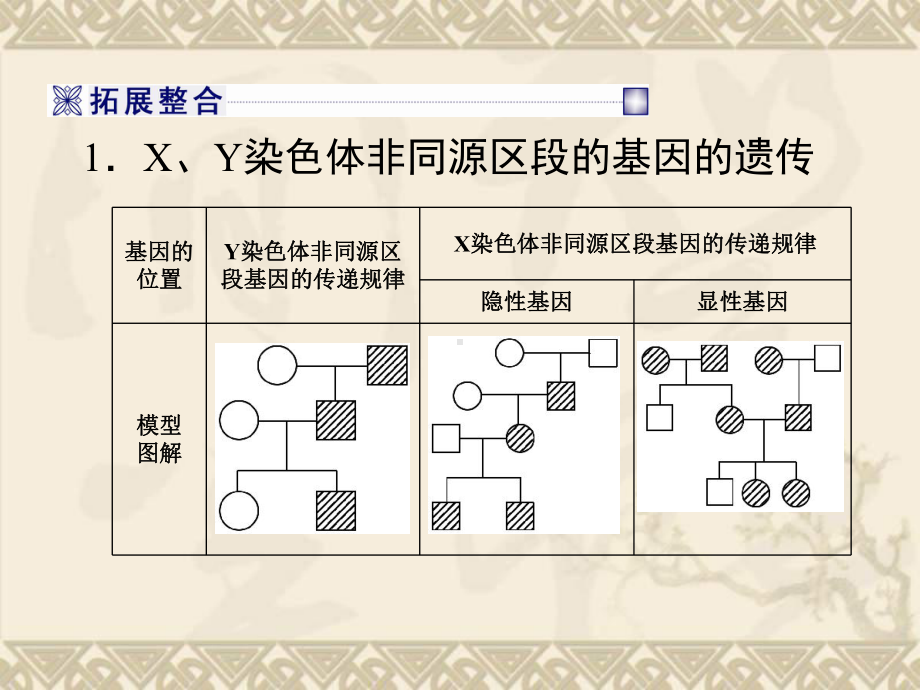 高考二轮生物专题复习课件专题三-遗传的分子基础与基本规律-伴性遗传与人类遗传病.ppt_第3页