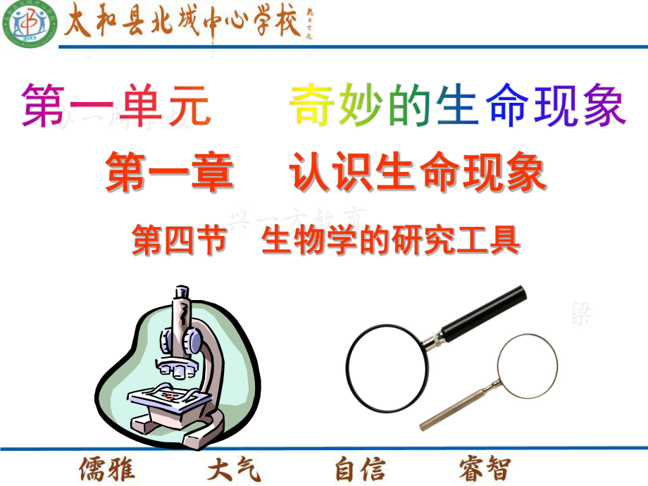 生物学的研究工具初中生物课件.pptx_第1页