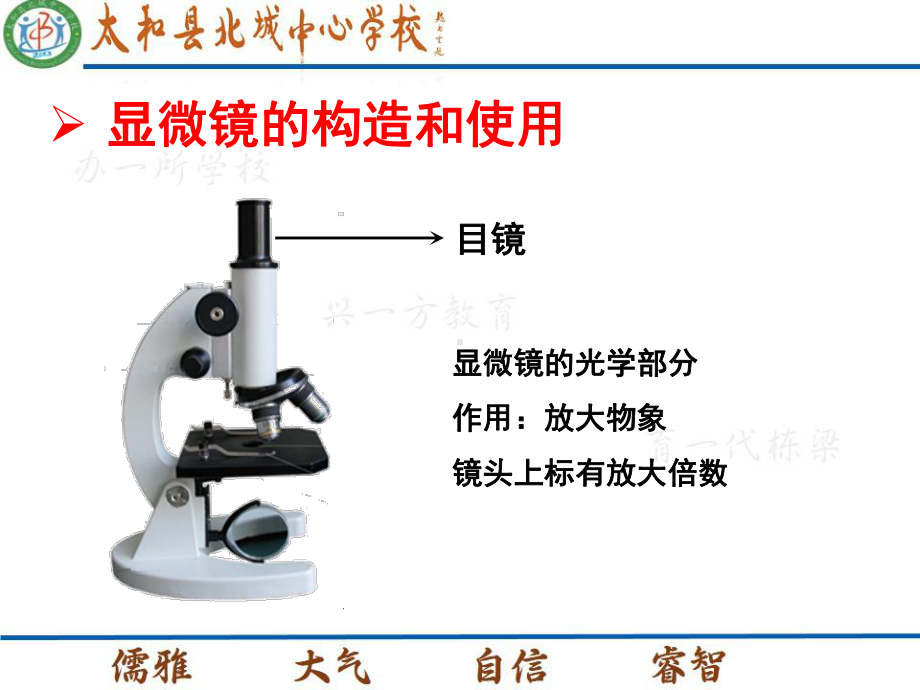 生物学的研究工具初中生物课件.pptx_第2页