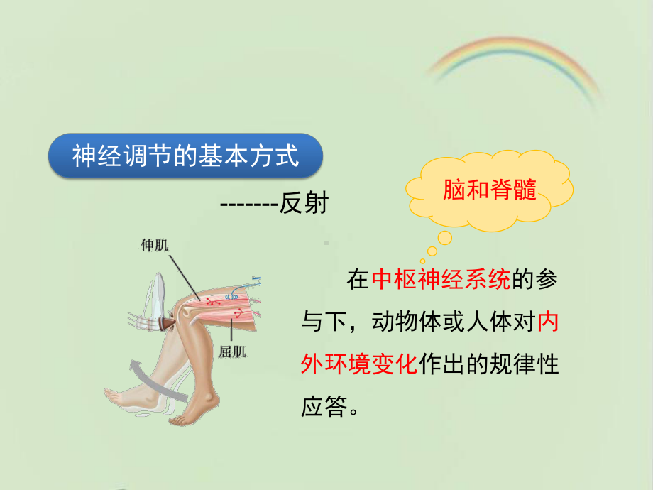 浙科版高中生物必修三《神经系统的结构与功能》第三课时课件-新版.ppt_第3页