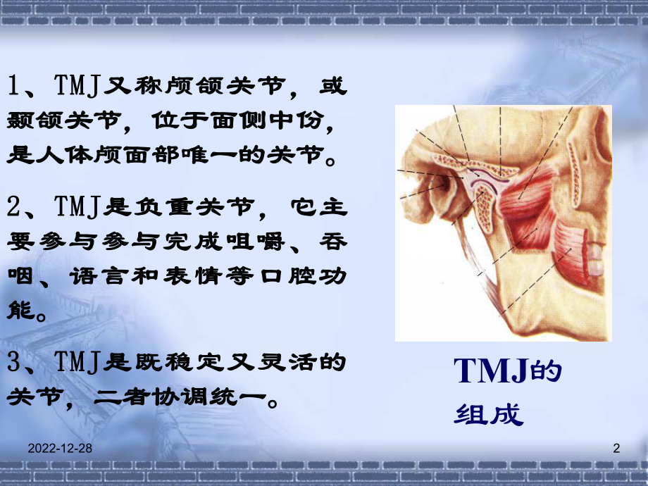 颞下颌关节课件.ppt_第2页