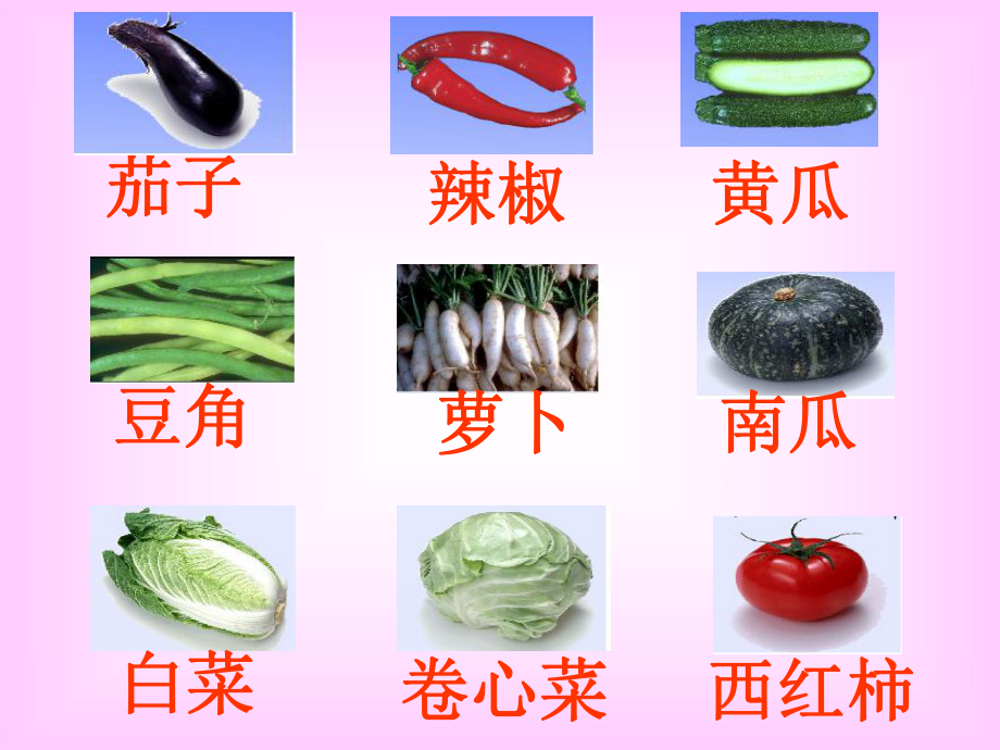 菜园里-公开课课件.ppt_第3页