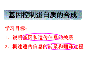 苏教版高中生物必修二基因控制蛋白质的合成课件.ppt