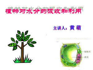 植物对水分的吸收和利用全面版课件.ppt