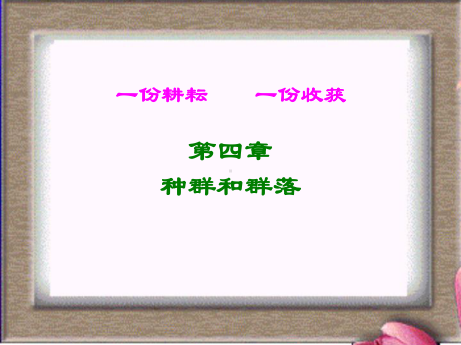 第四章种群与群落课件.ppt_第1页