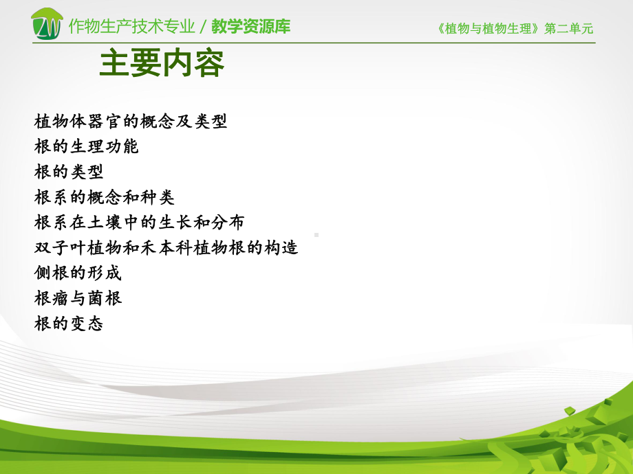 植物的营养器官-根的概述课件.ppt_第3页