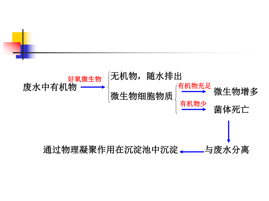 水处理生物学(第九讲)课件.ppt_第2页