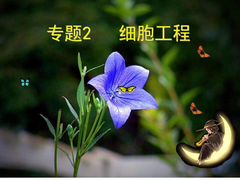 高中生物植物细胞工程课件.ppt_第1页