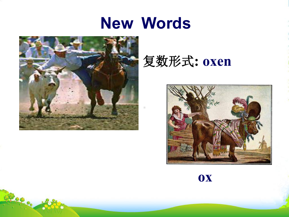 高中英语《unit4-Using-Language》教学课件-新人教选修7.ppt--（课件中不含音视频）_第2页