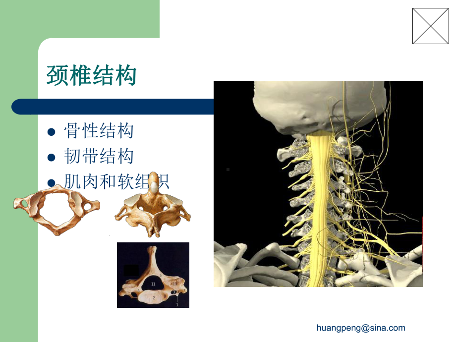 颈椎病康复课件下载.ppt_第3页