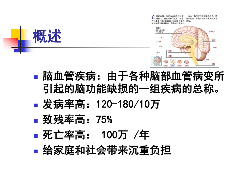 脑血管疾病的诊治课件-2.ppt_第2页