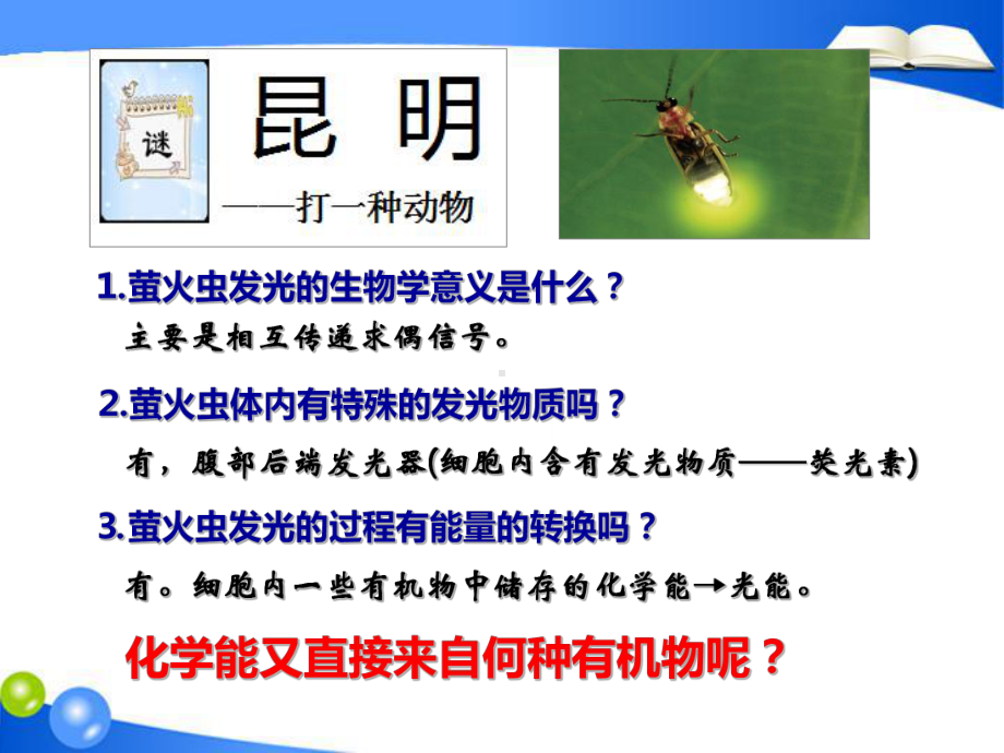 高中生物人教版必修1-细胞的能量“通货”—ATP-课件-(29张).ppt_第2页