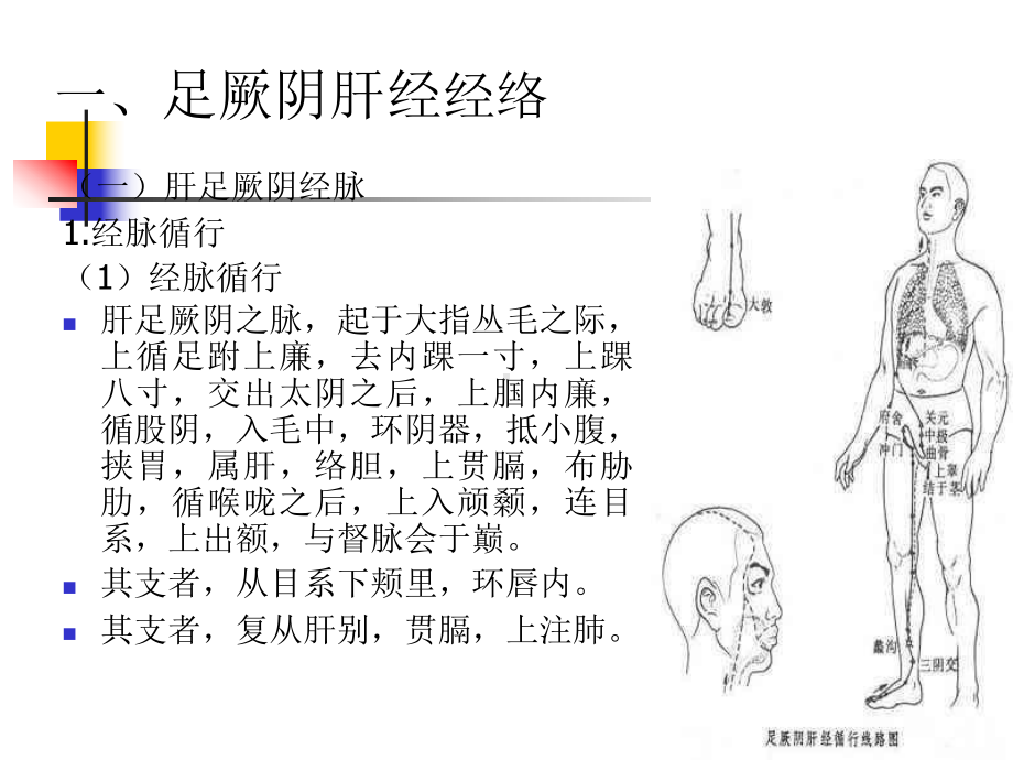 经络学-足厥阴肝经课件.ppt_第2页