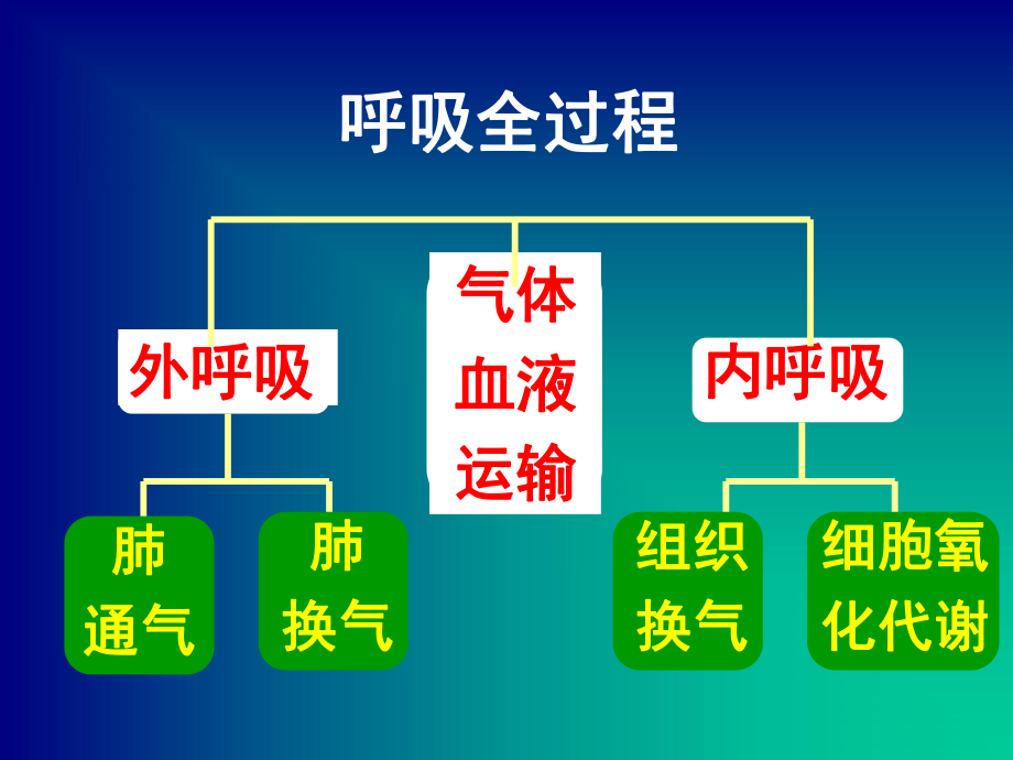 第二讲吸入麻醉药的药代动力学及药效学11级护理课件.ppt_第3页