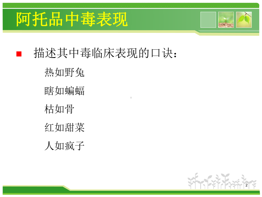 阿托品中毒课件.ppt_第2页